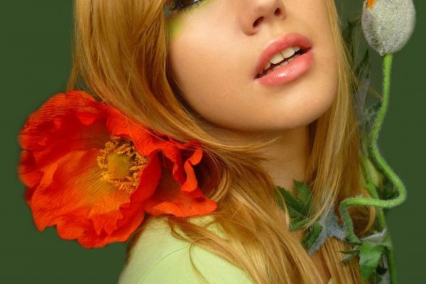 武汉办公，一杯茶解千愁